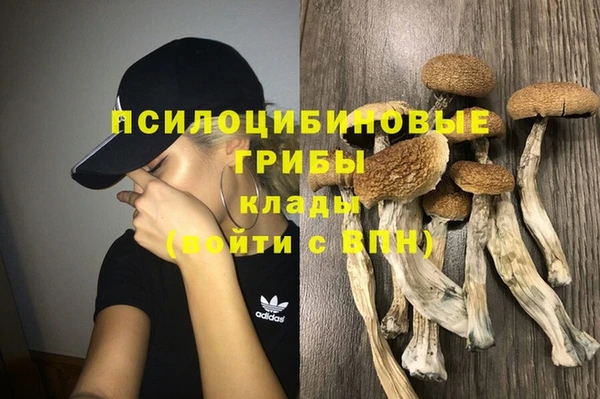 молекула духа Каменка