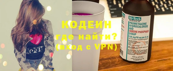 молекула духа Каменка