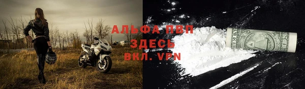 молекула духа Каменка