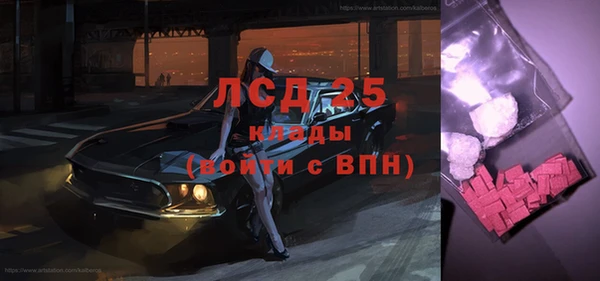 молекула духа Каменка