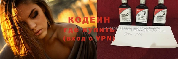 молекула духа Каменка