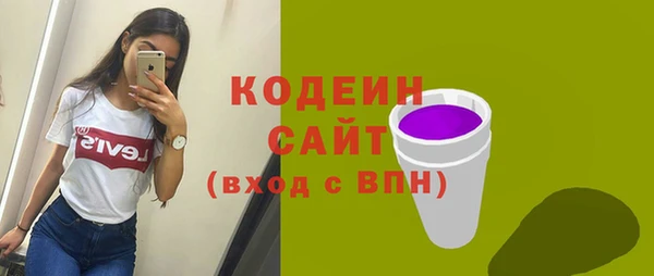 молекула духа Каменка