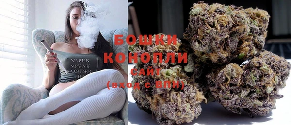 тгк Каменногорск