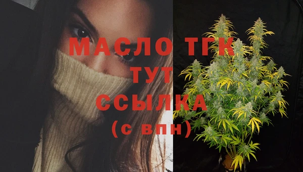 тгк Каменногорск