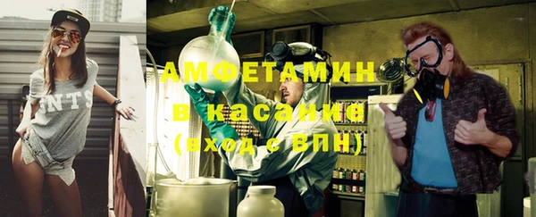молекула духа Каменка