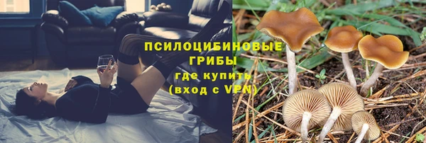 тгк Каменногорск