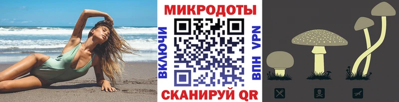 Галлюциногенные грибы мицелий  Купить где  Мещовск 